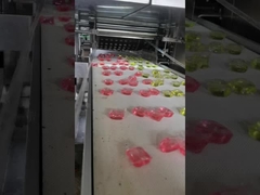 Professionele PLC-gecontroleerde wasmachine